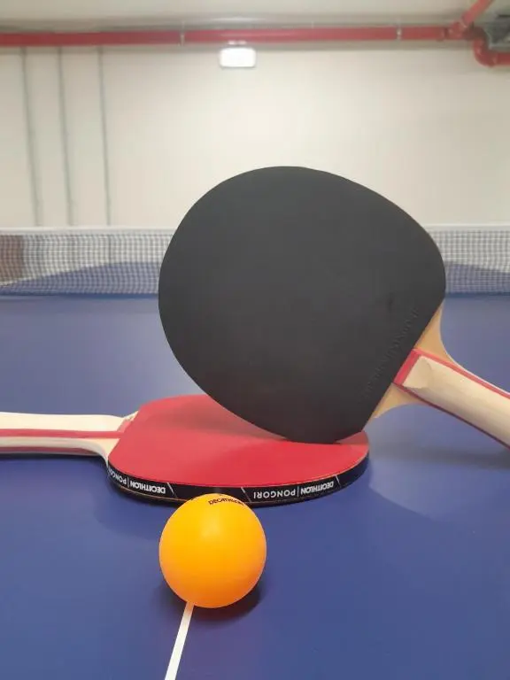 studentville central lisbon games room ping pong